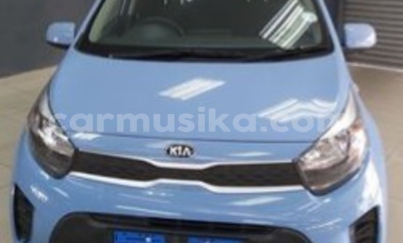 Acheter Occasion Voiture Kia Picanto Bleu à Borrowdale, Harare Acheter Occasion Voiture Kia Picanto Bleu à Borrowdale, Harare