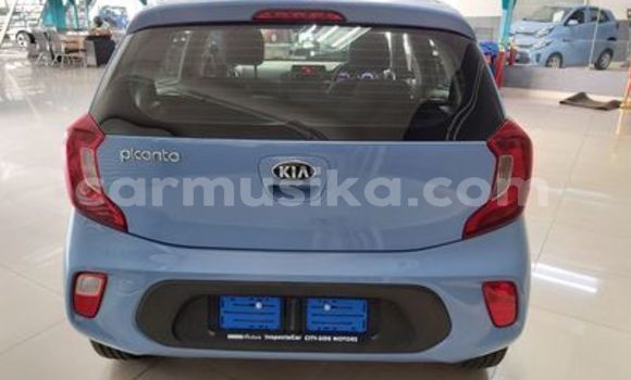 Acheter Occasion Voiture Kia Picanto Bleu à Borrowdale, Harare Acheter Occasion Voiture Kia Picanto Bleu à Borrowdale, Harare