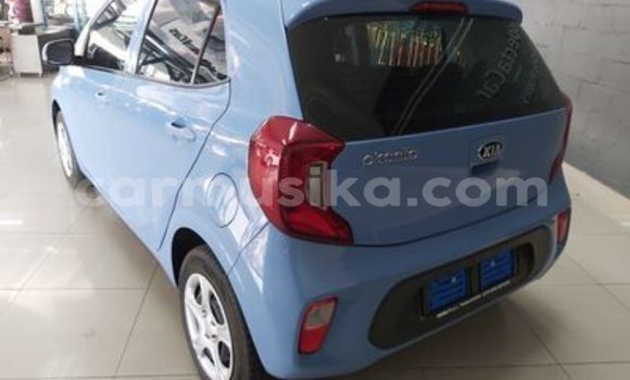 Acheter Occasion Voiture Kia Picanto Bleu à Borrowdale, Harare Acheter Occasion Voiture Kia Picanto Bleu à Borrowdale, Harare