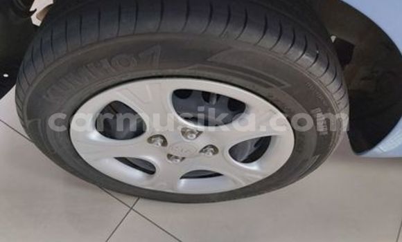 Acheter Occasion Voiture Kia Picanto Bleu à Borrowdale, Harare Acheter Occasion Voiture Kia Picanto Bleu à Borrowdale, Harare