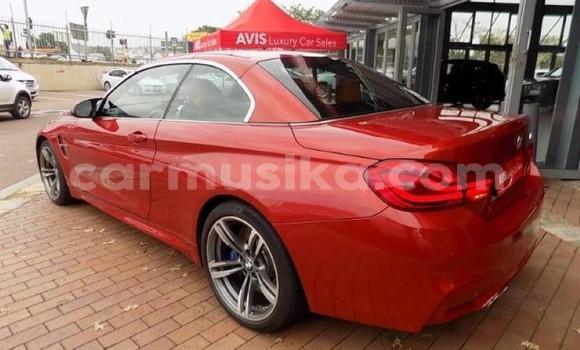 Buy Used BMW M4 Red Car in Beitbridge in Matabeleland South