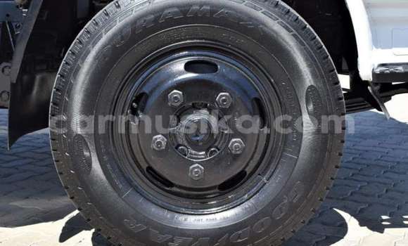 Tenga Tsaru Nissan UD Chena Rori in Beitbridge in Matabeleland South Tenga Tsaru Nissan UD Chena Rori in Beitbridge in Matabeleland South