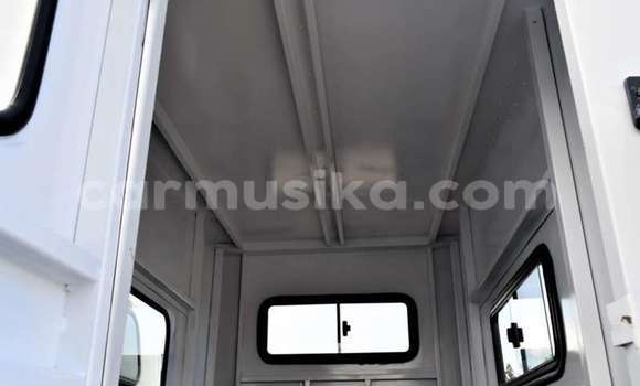 Buy Used Mitsubishi Fuso White Truck in Beitbridge in Matabeleland South Buy Used Mitsubishi Fuso White Truck in Beitbridge in Matabeleland South