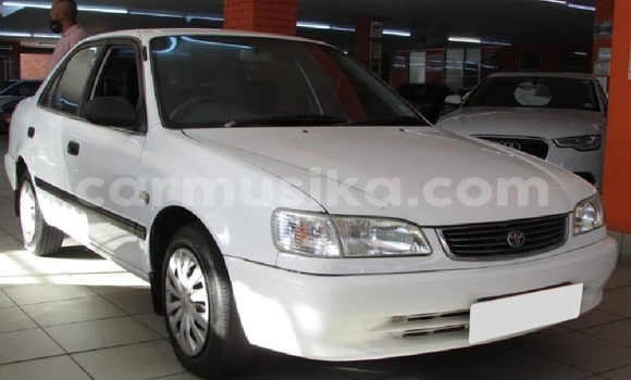 Tenga Tsaru Toyota Corolla Chena Mota in Beitbridge in Matabeleland South Tenga Tsaru Toyota Corolla Chena Mota in Beitbridge in Matabeleland South