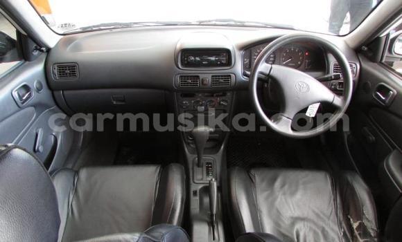 Tenga Tsaru Toyota Corolla Chena Mota in Beitbridge in Matabeleland South Tenga Tsaru Toyota Corolla Chena Mota in Beitbridge in Matabeleland South