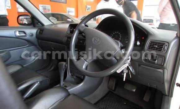 Tenga Tsaru Toyota Corolla Chena Mota in Beitbridge in Matabeleland South Tenga Tsaru Toyota Corolla Chena Mota in Beitbridge in Matabeleland South