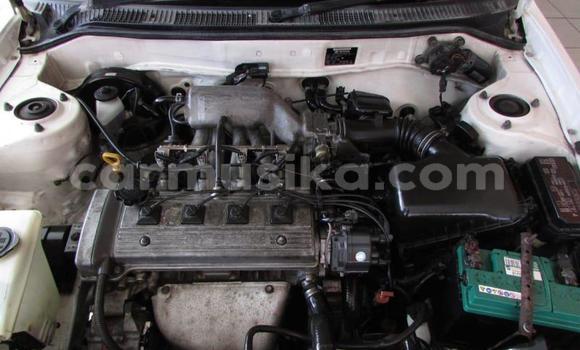 Tenga Tsaru Toyota Corolla Chena Mota in Beitbridge in Matabeleland South Tenga Tsaru Toyota Corolla Chena Mota in Beitbridge in Matabeleland South