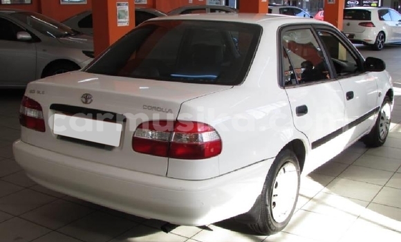 Tenga Tsaru Toyota Corolla Chena Mota in Beitbridge in Matabeleland South Tenga Tsaru Toyota Corolla Chena Mota in Beitbridge in Matabeleland South