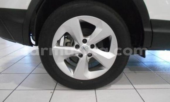 Tenga Tsaru Nissan Qashqai Chena Mota in Beitbridge in Matabeleland South Tenga Tsaru Nissan Qashqai Chena Mota in Beitbridge in Matabeleland South