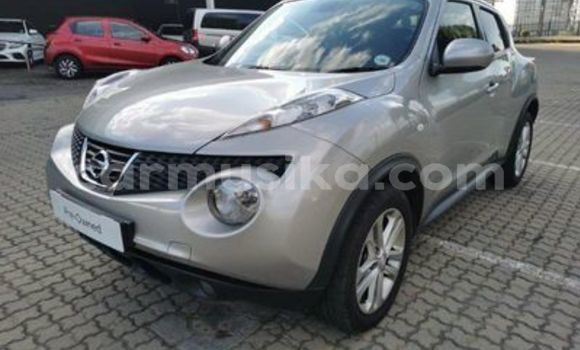 Tenga Tsaru Nissan Juke Sirivha Mota in Beitbridge in Matabeleland South