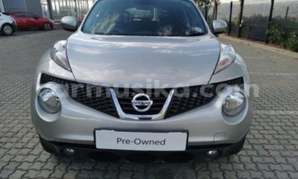 Tenga Tsaru Nissan Juke Sirivha Mota in Beitbridge in Matabeleland South Tenga Tsaru Nissan Juke Sirivha Mota in Beitbridge in Matabeleland South