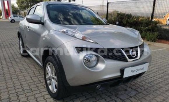 Tenga Tsaru Nissan Juke Sirivha Mota in Beitbridge in Matabeleland South Tenga Tsaru Nissan Juke Sirivha Mota in Beitbridge in Matabeleland South