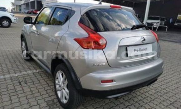 Tenga Tsaru Nissan Juke Sirivha Mota in Beitbridge in Matabeleland South Tenga Tsaru Nissan Juke Sirivha Mota in Beitbridge in Matabeleland South