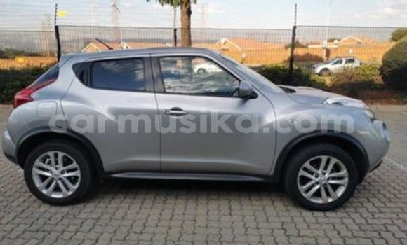 Tenga Tsaru Nissan Juke Sirivha Mota in Beitbridge in Matabeleland South Tenga Tsaru Nissan Juke Sirivha Mota in Beitbridge in Matabeleland South