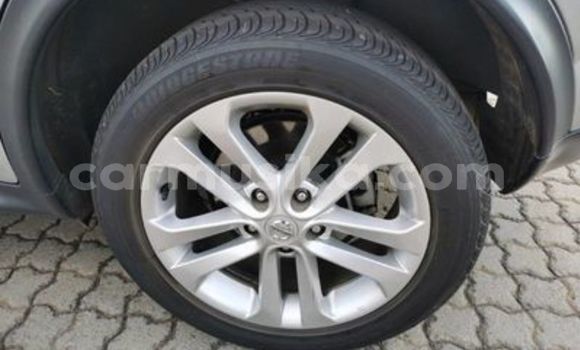 Tenga Tsaru Nissan Juke Sirivha Mota in Beitbridge in Matabeleland South Tenga Tsaru Nissan Juke Sirivha Mota in Beitbridge in Matabeleland South