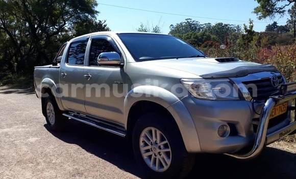 Acheter Occasion Voiture Toyota Hilux Gris à Harare, Harare Acheter Occasion Voiture Toyota Hilux Gris à Harare, Harare