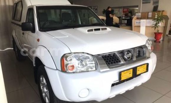 Tenga Tsaru Nissan NP 300 Chena Mota in Beitbridge in Matabeleland South Tenga Tsaru Nissan NP 300 Chena Mota in Beitbridge in Matabeleland South