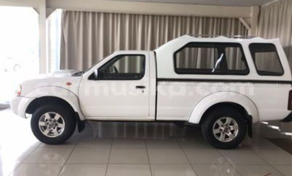 Tenga Tsaru Nissan NP 300 Chena Mota in Beitbridge in Matabeleland South Tenga Tsaru Nissan NP 300 Chena Mota in Beitbridge in Matabeleland South