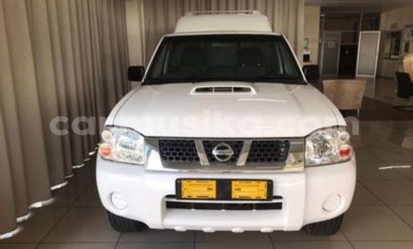 Tenga Tsaru Nissan NP 300 Chena Mota in Beitbridge in Matabeleland South Tenga Tsaru Nissan NP 300 Chena Mota in Beitbridge in Matabeleland South