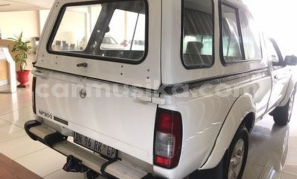 Tenga Tsaru Nissan NP 300 Chena Mota in Beitbridge in Matabeleland South Tenga Tsaru Nissan NP 300 Chena Mota in Beitbridge in Matabeleland South