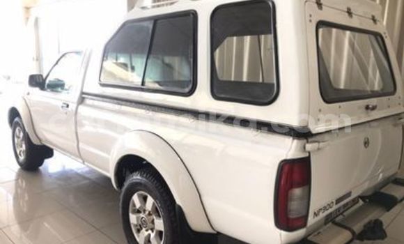 Tenga Tsaru Nissan NP 300 Chena Mota in Beitbridge in Matabeleland South Tenga Tsaru Nissan NP 300 Chena Mota in Beitbridge in Matabeleland South