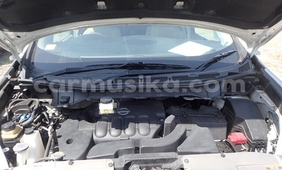 Acheter Occasion Voiture Nissan Elgrand Blanc à Beitbridge, Matabeleland South Acheter Occasion Voiture Nissan Elgrand Blanc à Beitbridge, Matabeleland South