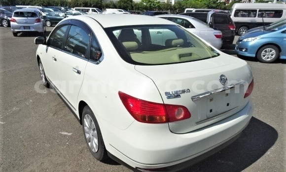 Tenga Tsaru Nissan Bluebird Sylphy Chena Mota in Beitbridge in Matabeleland South Tenga Tsaru Nissan Bluebird Sylphy Chena Mota in Beitbridge in Matabeleland South