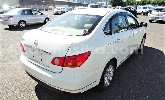 Tenga Tsaru Nissan Bluebird Sylphy Chena Mota in Beitbridge in Matabeleland South Tenga Tsaru Nissan Bluebird Sylphy Chena Mota in Beitbridge in Matabeleland South