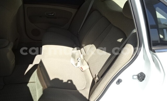 Tenga Tsaru Nissan Bluebird Sylphy Chena Mota in Beitbridge in Matabeleland South Tenga Tsaru Nissan Bluebird Sylphy Chena Mota in Beitbridge in Matabeleland South