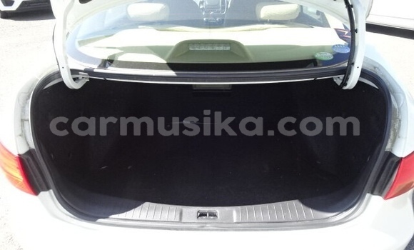 Tenga Tsaru Nissan Bluebird Sylphy Chena Mota in Beitbridge in Matabeleland South Tenga Tsaru Nissan Bluebird Sylphy Chena Mota in Beitbridge in Matabeleland South