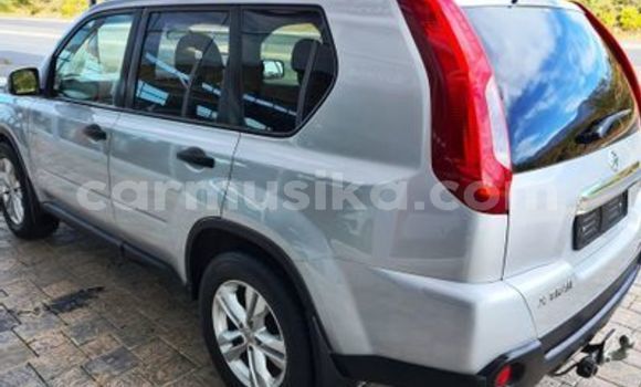 Acheter Occasion Voiture Nissan X–Trail Gris à Beitbridge, Matabeleland South Acheter Occasion Voiture Nissan X–Trail Gris à Beitbridge, Matabeleland South