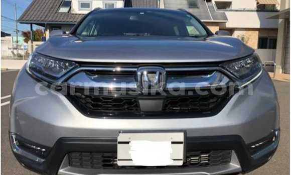 Acheter Occasion Voiture Honda CR–V Gris à Beitbridge, Matabeleland South