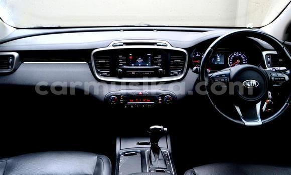 Acheter Occasion Voiture Kia Sorento Autre à Beitbridge, Matabeleland South Acheter Occasion Voiture Kia Sorento Autre à Beitbridge, Matabeleland South