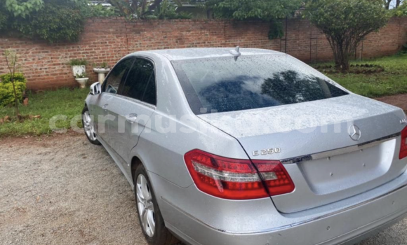 Nunua Mpya Mercedes‒Benz E–Class Fedha Gari ndani ya Borrowdale nchini Harare Nunua Mpya Mercedes‒Benz E–Class Fedha Gari ndani ya Borrowdale nchini Harare