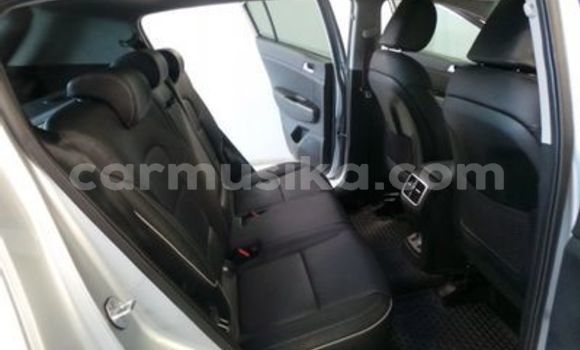 Tenga Tsaru Kia Sportage Sirivha Mota in Beitbridge in Matabeleland South Tenga Tsaru Kia Sportage Sirivha Mota in Beitbridge in Matabeleland South