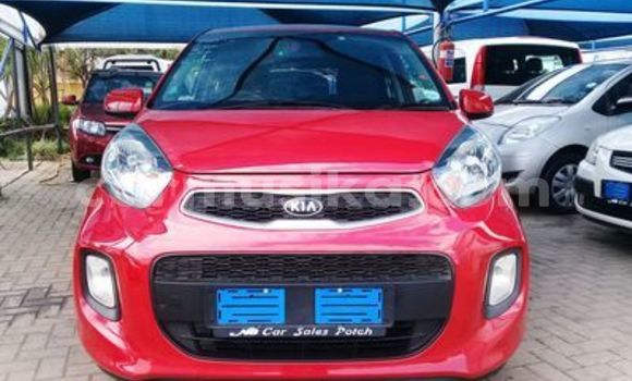 Tenga Tsaru Kia Picanto Tsvuku Mota in Beitbridge in Matabeleland South