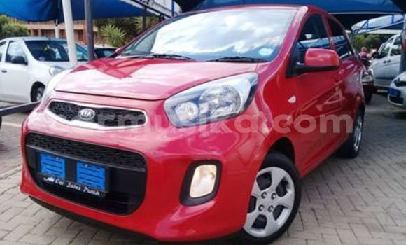 Tenga Tsaru Kia Picanto Tsvuku Mota in Beitbridge in Matabeleland South Tenga Tsaru Kia Picanto Tsvuku Mota in Beitbridge in Matabeleland South