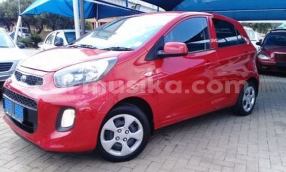 Tenga Tsaru Kia Picanto Tsvuku Mota in Beitbridge in Matabeleland South Tenga Tsaru Kia Picanto Tsvuku Mota in Beitbridge in Matabeleland South