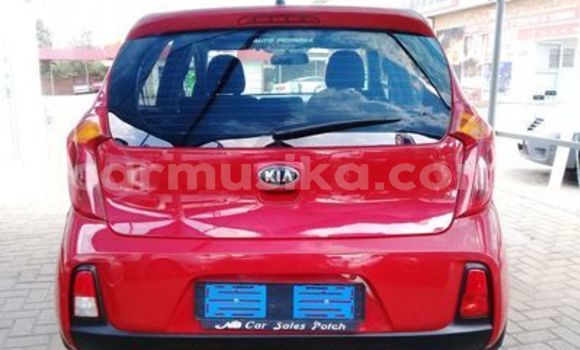 Tenga Tsaru Kia Picanto Tsvuku Mota in Beitbridge in Matabeleland South Tenga Tsaru Kia Picanto Tsvuku Mota in Beitbridge in Matabeleland South