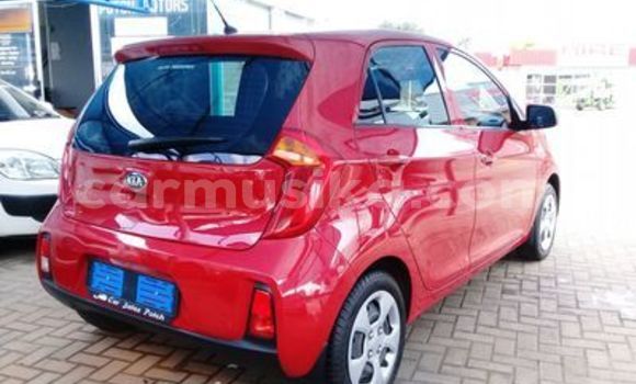 Tenga Tsaru Kia Picanto Tsvuku Mota in Beitbridge in Matabeleland South Tenga Tsaru Kia Picanto Tsvuku Mota in Beitbridge in Matabeleland South