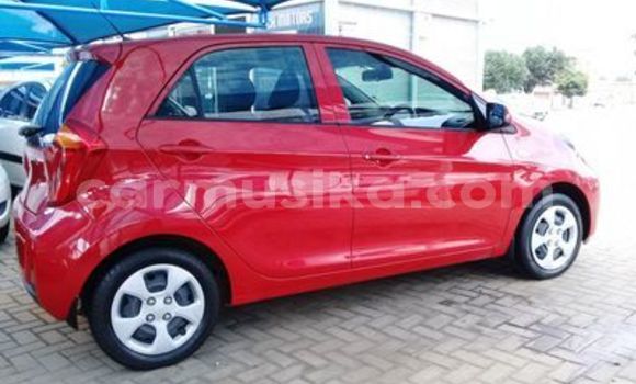 Tenga Tsaru Kia Picanto Tsvuku Mota in Beitbridge in Matabeleland South Tenga Tsaru Kia Picanto Tsvuku Mota in Beitbridge in Matabeleland South
