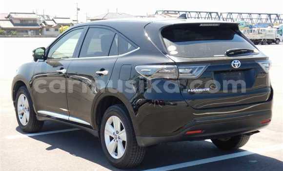 Buy Used Toyota Harrier Black Car in Beitbridge in Matabeleland South Buy Used Toyota Harrier Black Car in Beitbridge in Matabeleland South