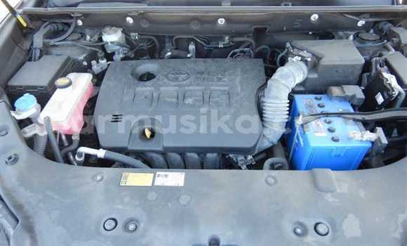 Buy Used Toyota Harrier Black Car in Beitbridge in Matabeleland South Buy Used Toyota Harrier Black Car in Beitbridge in Matabeleland South