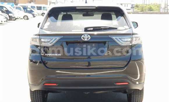 Buy Used Toyota Harrier Black Car in Beitbridge in Matabeleland South Buy Used Toyota Harrier Black Car in Beitbridge in Matabeleland South