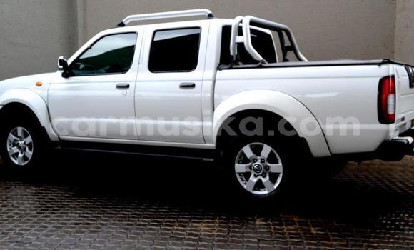 Tenga Tsaru Nissan NP 300 Zvimwe Mota in Beitbridge in Matabeleland South Tenga Tsaru Nissan NP 300 Zvimwe Mota in Beitbridge in Matabeleland South