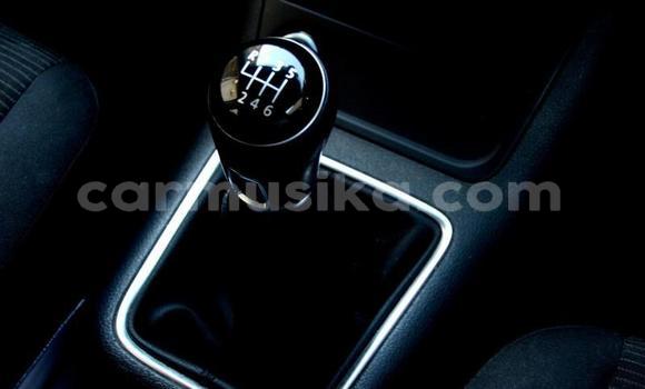 Tenga Tsaru Volkswagen Tiguan Chena Mota in Beitbridge in Matabeleland South Tenga Tsaru Volkswagen Tiguan Chena Mota in Beitbridge in Matabeleland South