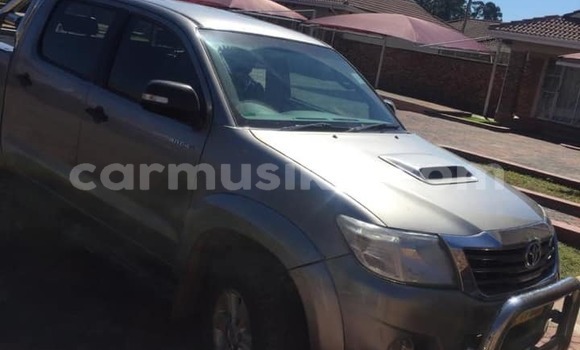Acheter Occasion Voiture Toyota Hilux Gris à Harare, Harare Acheter Occasion Voiture Toyota Hilux Gris à Harare, Harare