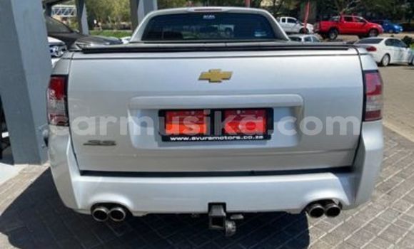Acheter Occasion Voiture Chevrolet SS Gris à Beitbridge, Matabeleland South Acheter Occasion Voiture Chevrolet SS Gris à Beitbridge, Matabeleland South