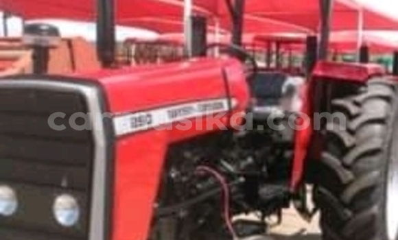 Tenga Tsaru Mega Track Tsvuku Mota in Beitbridge in Matabeleland South Tenga Tsaru Mega Track Tsvuku Mota in Beitbridge in Matabeleland South