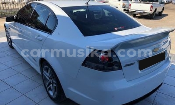 Acheter Occasion Voiture Chevrolet Lumina Blanc à Beitbridge, Matabeleland South Acheter Occasion Voiture Chevrolet Lumina Blanc à Beitbridge, Matabeleland South